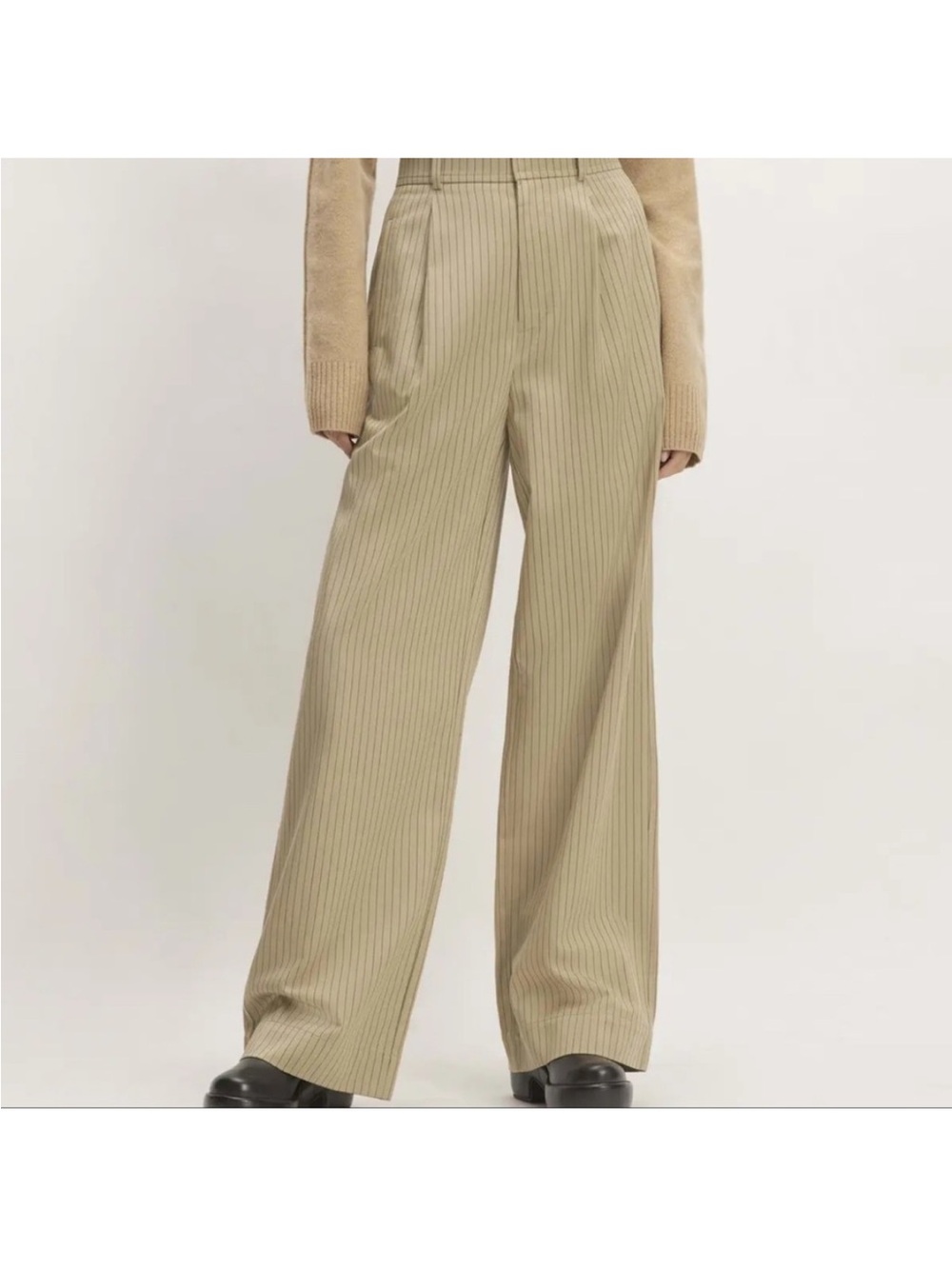 Everlane The Draper Pleated Pants in Buttersmooth Pinstripe‎ Pleated Wide Leg